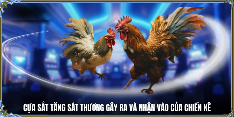 Cựa sắt tăng sát thương gây ra và nhận vào của chiến kê