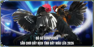 đá gà campuchia 78win me