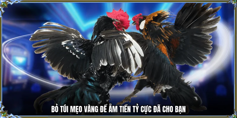 Bỏ túi mẹo vàng để ẵm tiền tỷ cực đã cho bạn