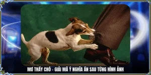 mơ thấy chó 78win me